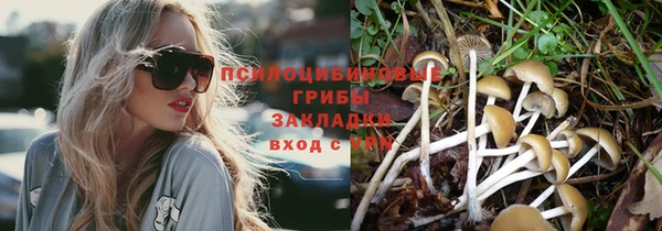 стафф Богородицк