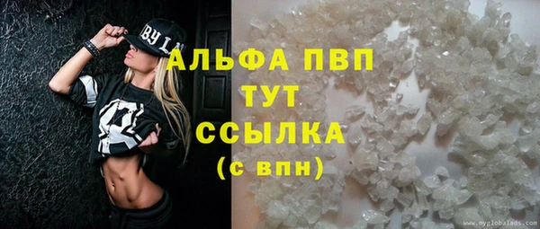 стафф Богородицк
