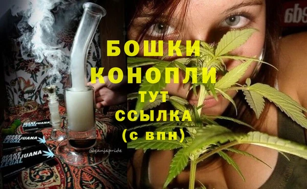 стафф Богородицк